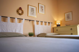 Camere Osmunda Hotel Cernia