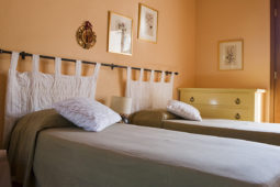 Camere Osmunda Hotel Cernia