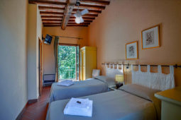 Camere Osmunda Hotel Cernia